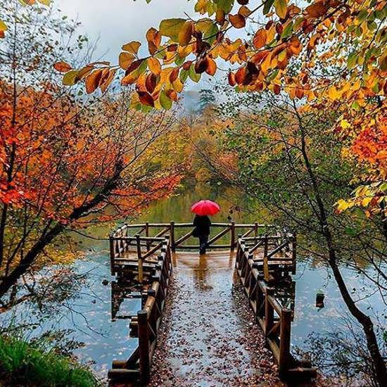 دریا تویی ساحل منم غرق نگاتم
